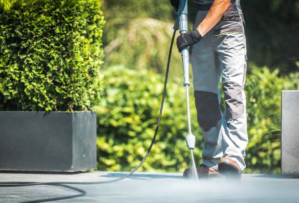 Best Gutter Cleaning  in Southeast Arcadia, FL